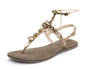 Brilliant Life Chain - Comfort Taupe