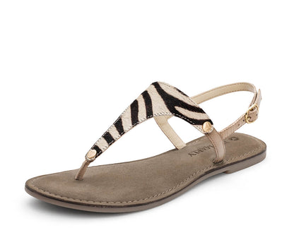 Animal Print - Comfort Taupe